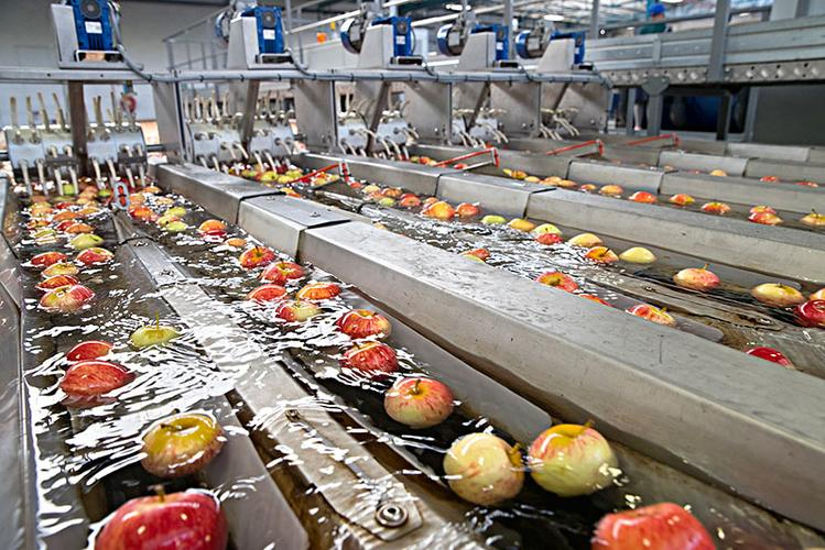 英國(guó)食品f695消泡劑應(yīng)用場(chǎng)景展示圖